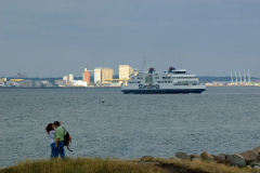 DSC0089_cph