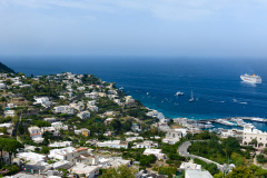 DSC_4525