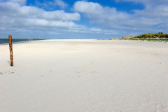 DSC1138