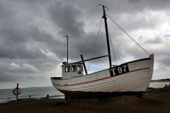 DSC1276
