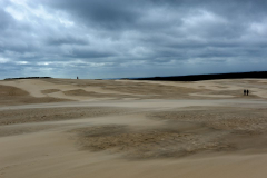 DSC1365