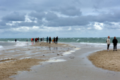 DSC1381