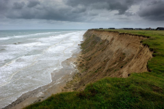 DSC1384
