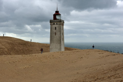 DSC1393