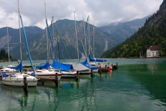 01_FUS_2356