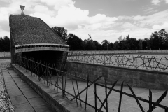 02_ALP_2493