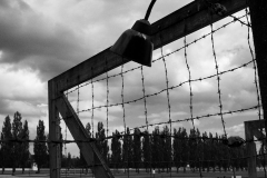 02_ALP_2495