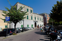 DSC2384