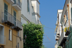 DSC2391