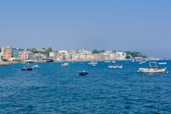 DSC2396