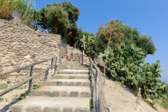 DSC2449
