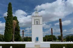 DSC3574