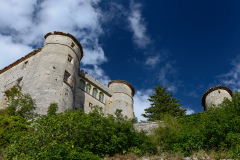 DSC3632