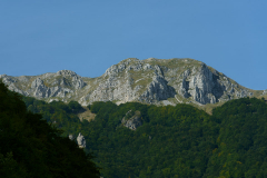 DSC_4455