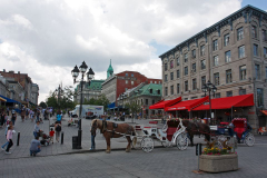 MG_0734