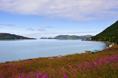 DSC1761