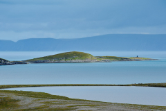 DSC1871