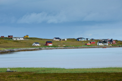 DSC1874