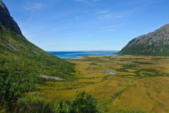 DSC2056