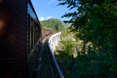 DSC_5082